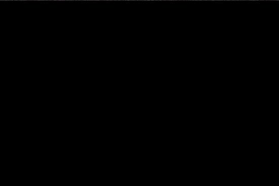 bacila-vlad-WTThc6UmwEI-unsplash