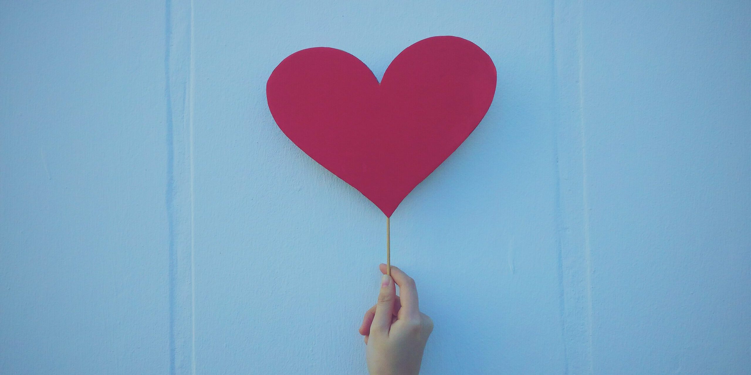 ryan-o-niel-RENQujV_-ZU-unsplash