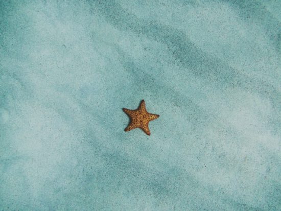 amy-humphries-2M_sDJ_agvs-unsplash_klein mindful innovation