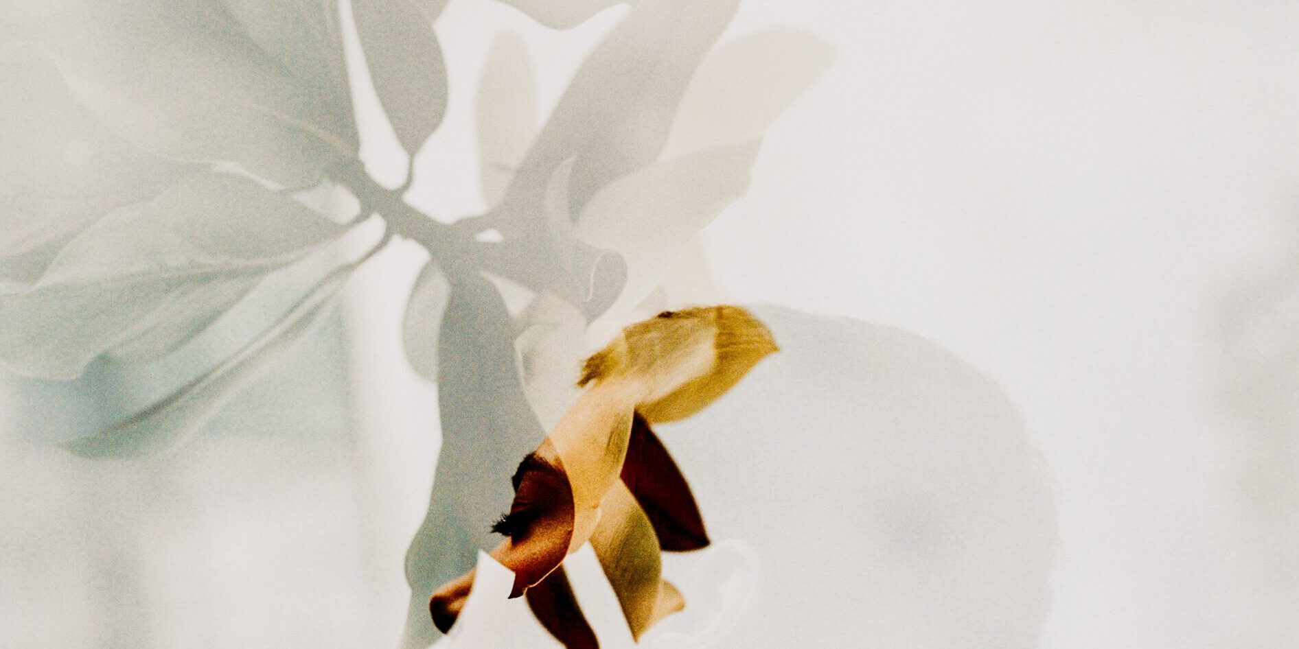 motoki-tonn-4In0RilaHSM-unsplash
