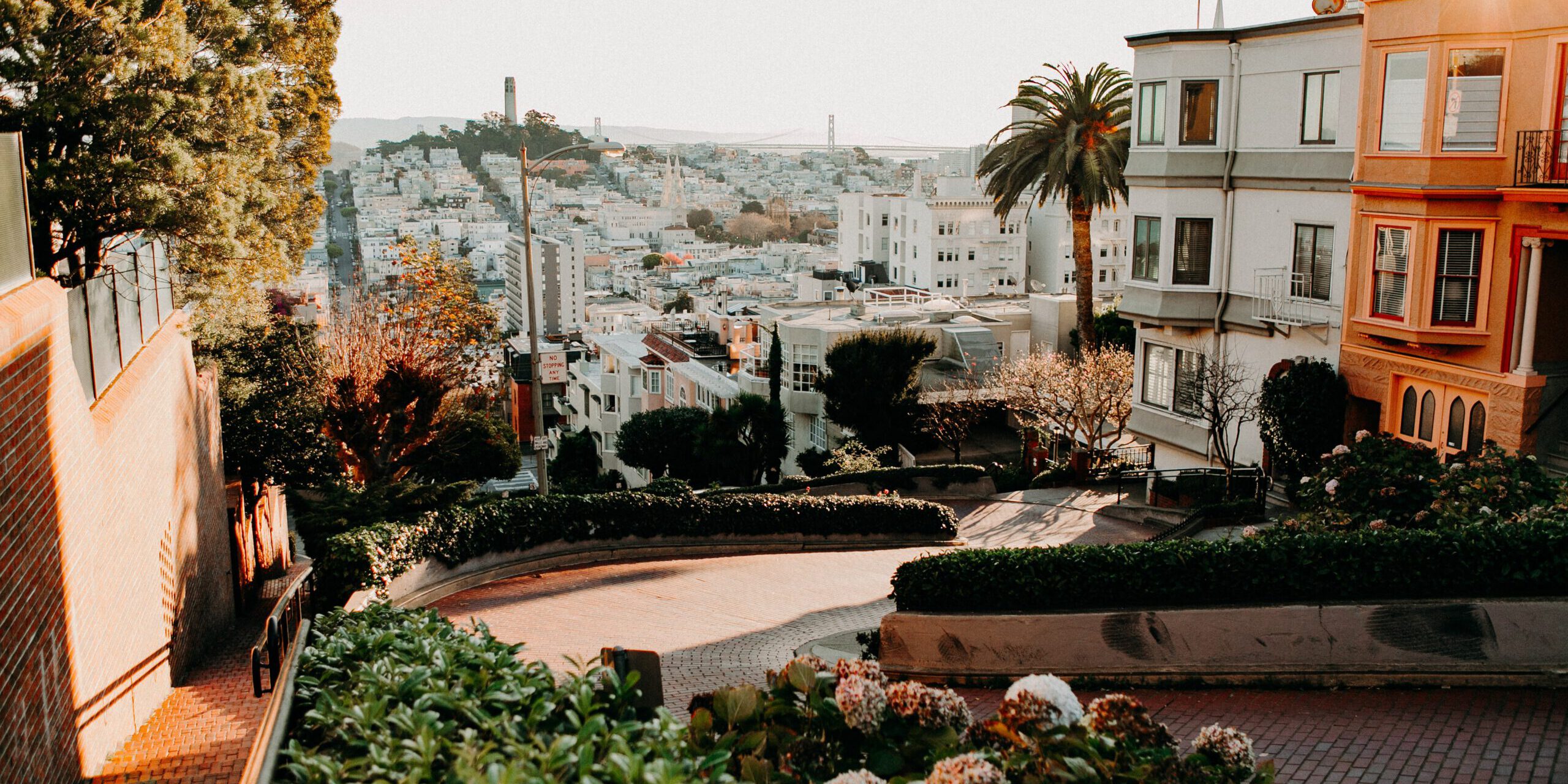 braden-collum-AFlG5jpMvYg-unsplash